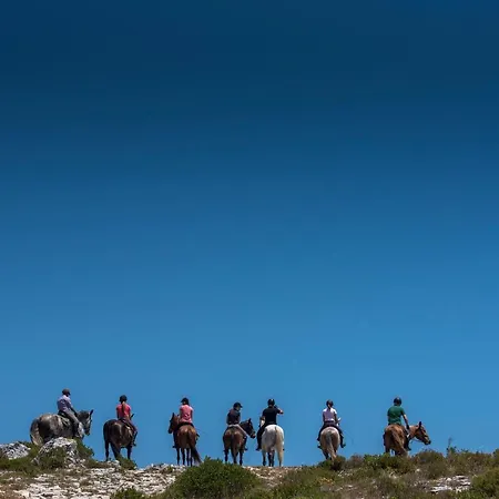 Hotel Lux Park - Hotel, & Fátima