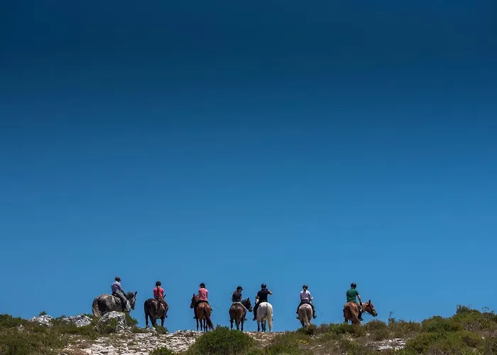 Hotel Lux Park - Hotel, & Fátima